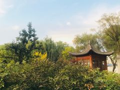 -麦积山温泉