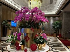 -金悦轩海鲜酒家(拱北店)