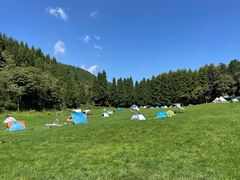-武陵山森林公园