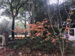 -汇龙潭