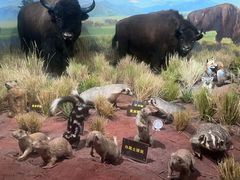 -陕西自然博物馆