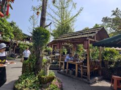 -青城甲(青城山店)