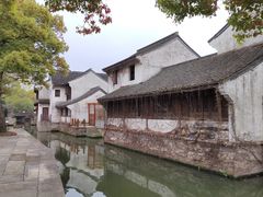 -鲁镇