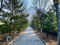 -天涯山