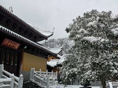 -灵谷景区