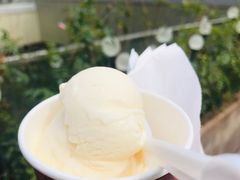 -哈根达斯(深圳海岸城店)