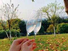 -重庆市江北嘴中央商务区中央公园