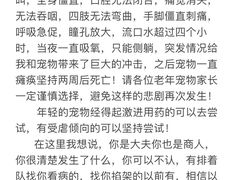 -北京赛佳动物医院