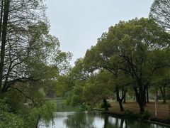 -苏州上方山国家森林公园
