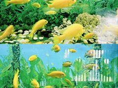 -泉州海丝野生动物世界