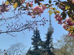 -龟山风景区-龟山电视塔