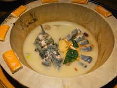 -滇小鱼·云南野生菌火锅(上杭路店)