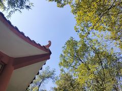 -南山植物园