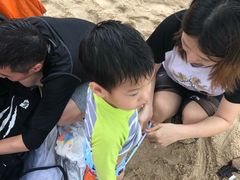 -西涌国际滨海旅游区