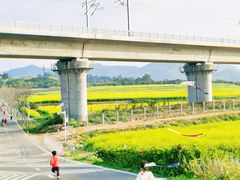 -光明小镇欢乐田园