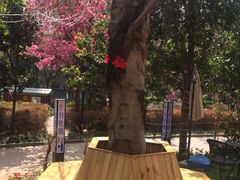 -月亮眼花园餐厅书吧酒吧