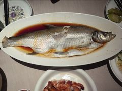 清蒸太湖大白鱼-顺鹅季·非遗烧鹅(六道口店)