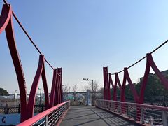 -菊园百果园