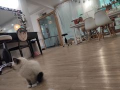 -iF摄影•全家福•证件照•形象照(南山店)