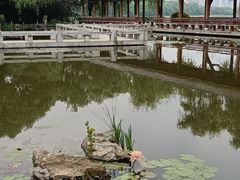 -金银湖国家城市湿地公园