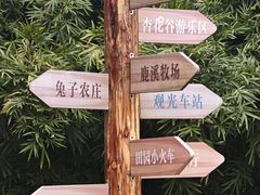 -黄龙溪欢乐田园