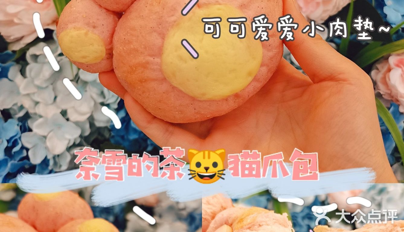 🐱拥有这只猫爪包，就拥有了喵喵拳！