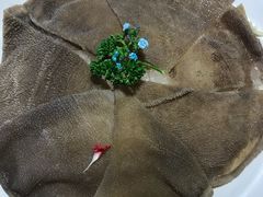 空运绿色毛肚-渝利重庆火锅