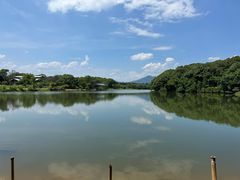 -福建鲤鱼洲酒店