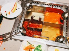 -海底捞火锅(青悦城店)