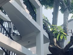 -墨池公园
