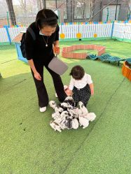 -萌宠亲子动物乐园(槐房万达店)