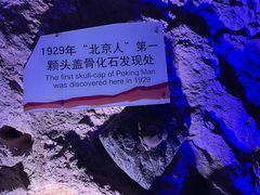 -周口店北京人遗址公园