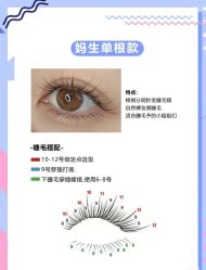 -丽尔美睫