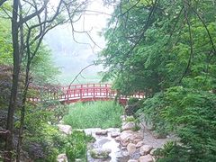 -大连植物园