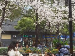 -玛格萝妮比萨屋(四平店)