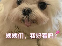 -曲江创意谷
