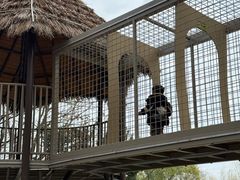 -宁波儿童公园(鄞州区)