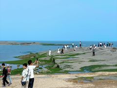 -巧克力渔家.小船海鲜胶东菜(万平口店)