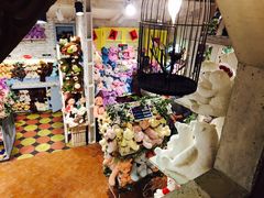 -济州岛泰迪熊博物馆