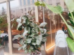 -生如夏花泰式火锅(西村黑金店)