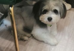 -沐蕙日式美甲美睫皮肤管理