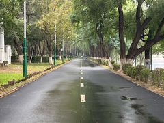 -长白岛森林公园