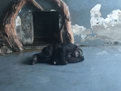 -无锡动物园·太湖欢乐园