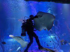 -沈阳海洋探索中心