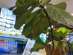 -妈妈家·本帮菜(总店)