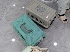 -爱洗澡的猫(天河路店)