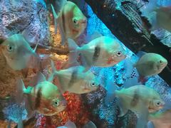 -沈阳海洋探索中心