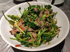 -壹盏灯(惠农店)