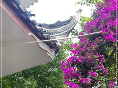 -生宇山珍野生菌汤锅•始于1999(双流古塔店)