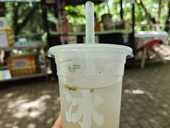 -宝岩生态观光园